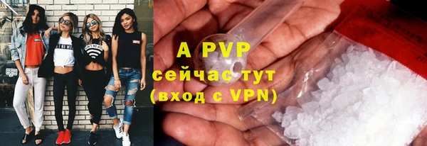 индика Вязники