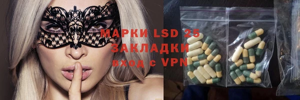 индика Вязники