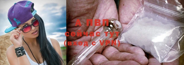 СК Вязьма