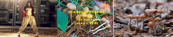 индика Вязники