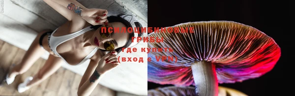 а пвп мука Вяземский