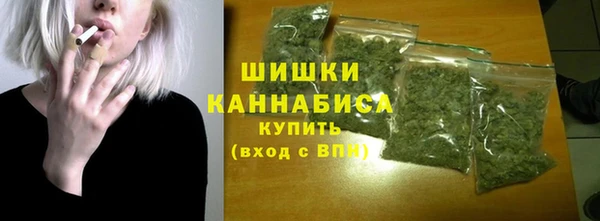 СК Вязьма