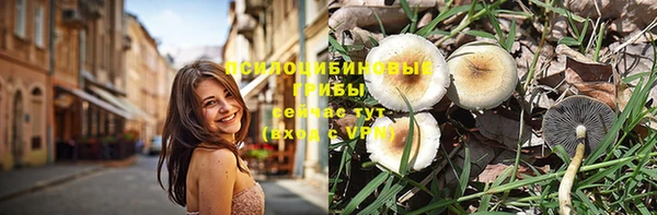 индика Вязники