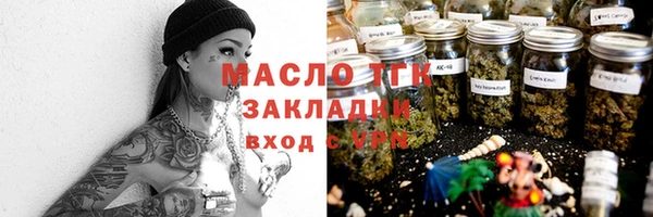 индика Вязники