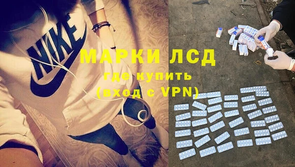 индика Вязники