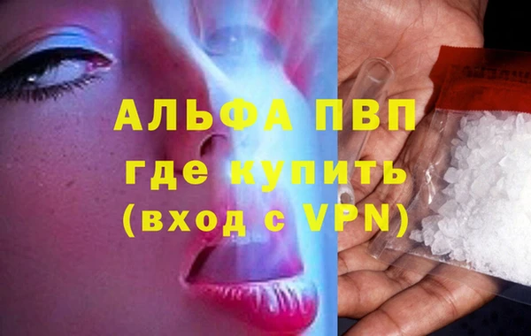 индика Вязники
