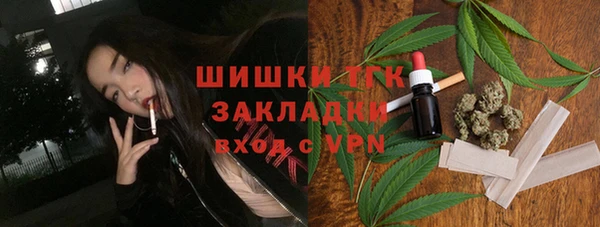 СК Вязьма