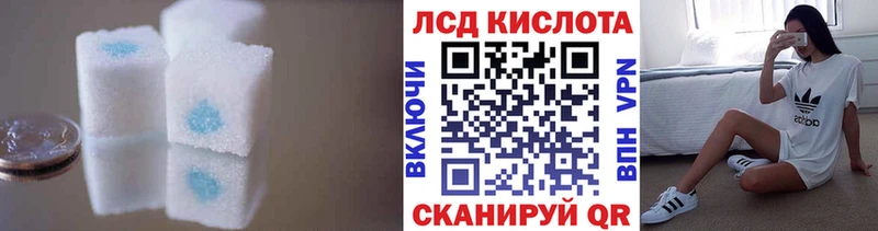Купить закладки  Рудня  Лсд 25 экстази кислота 